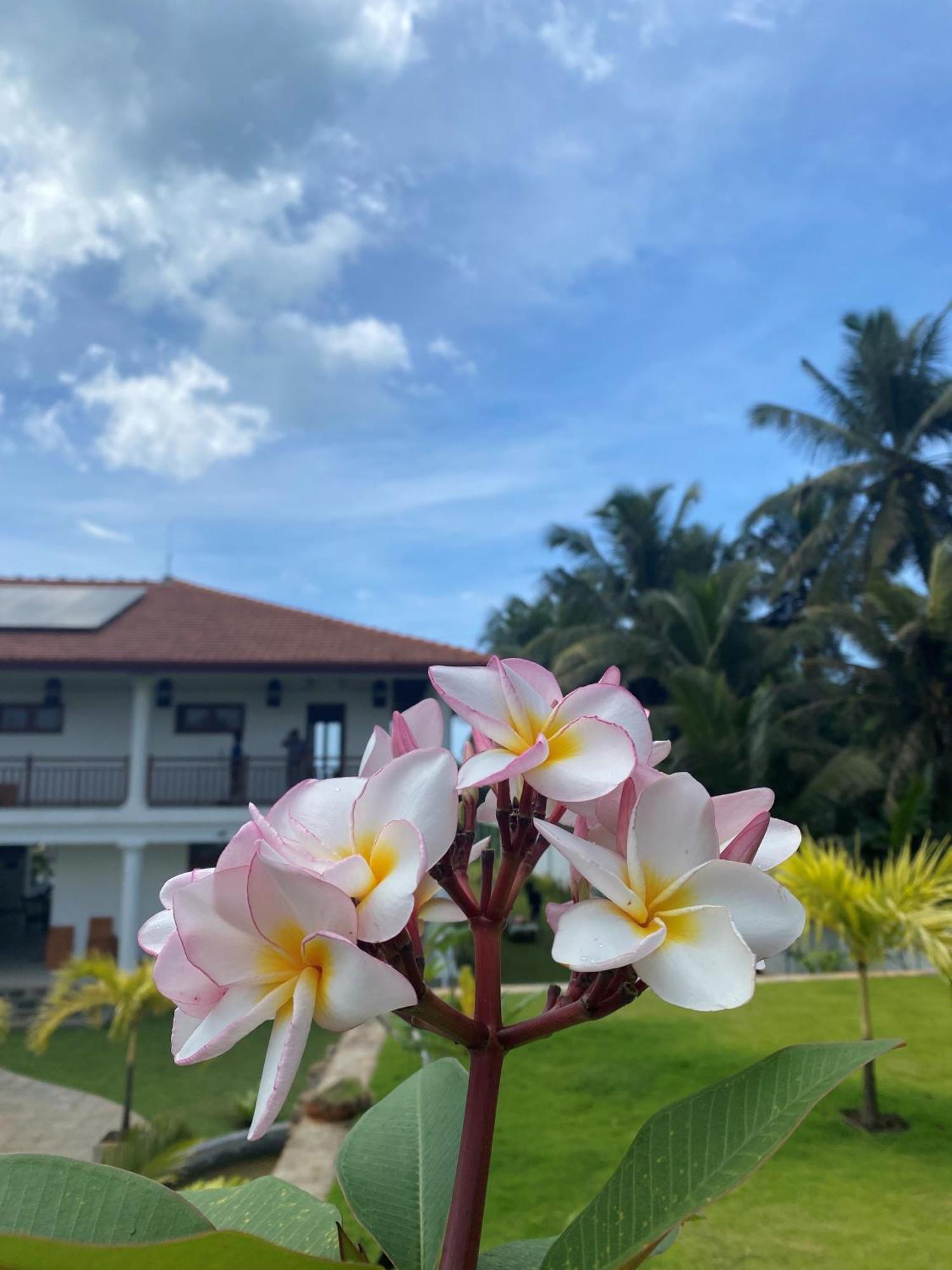 Sea Star Boutique Hotel Хиккадува Экстерьер фото